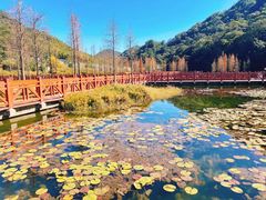 -广州市石门国家森林公园