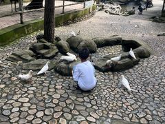-燕塞湖鸟语林景区