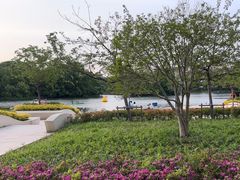 -新江湾城公园