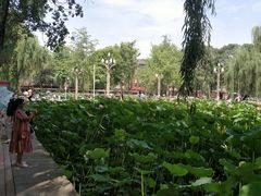 -四川大学(望江校区)