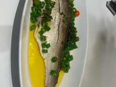 青花椒蒸白水鱼-荣兴酒家(徐家汇店)