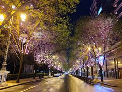 -唐城墙遗址公园