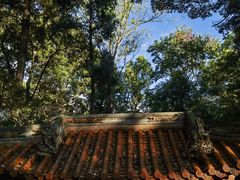 -都江堰普照寺