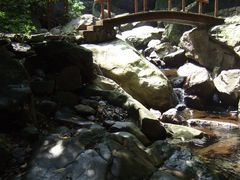 -安吉龙王山风景区