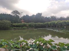 -嘉定紫藤园
