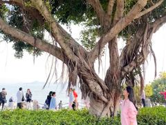 -KK ONE(京基滨河时代店)