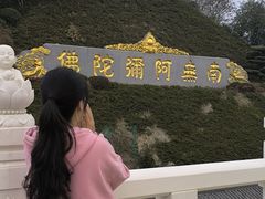 -庐山风景名胜区-东林大佛