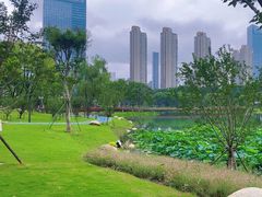 -后襄河公园