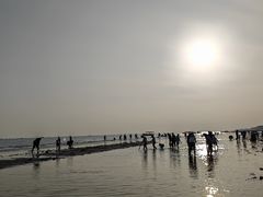 -万尾金滩