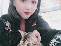 -糯米喵星人·撸猫猫舍咖啡馆(西市场嘉华店)