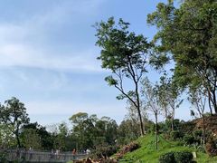 -广州雕塑公园