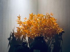 -Dragonfly 悠庭·按摩Spa(苏州中心广场店)