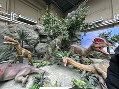 -国家自然博物馆