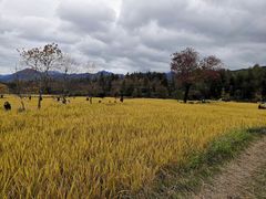 -塔川景区
