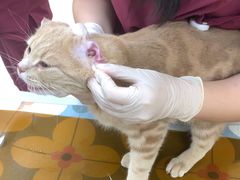 -美联众合动物医院·24h京西诊疗中心