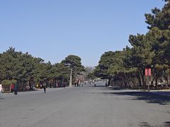 -北陵公园