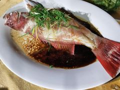 清蒸东星斑-海儀美食楼(湾仔海鲜街店)
