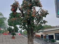 -安徽八里河旅游区