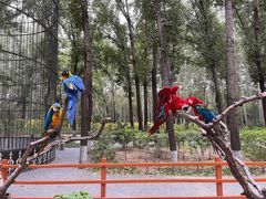 -北京野生动物园