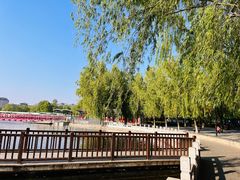 -莲花池公园