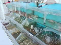 -双海酒店·海鲜家常菜(南戴河店)