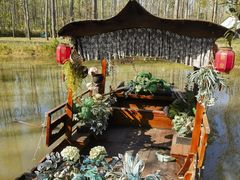 -合肥滨湖国家森林公园