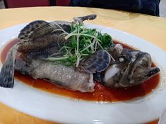 -蚝专家(北滘店)