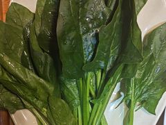 -芦月轩羊蝎子(劲松店)