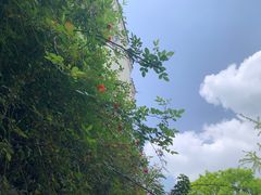 -谭记石锅鱼府(三道堰店)