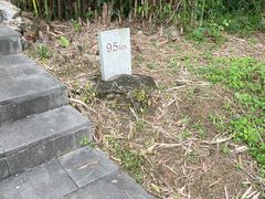 -羚羊峡古栈道森林公园