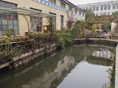 -桃园农庄烤全羊(江秋路店)