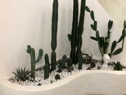 -DAISY BRIDAL黛茜婚纱