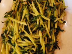 清炒豆苗-真浪大家乐海鲜餐馆