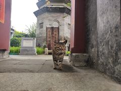 -万松老人塔