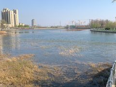 -保定东湖公园(莲池区)