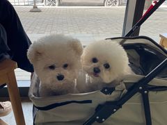 -唐城墙遗址公园