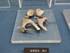 -上海公安博物馆