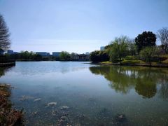 -绍兴镜湖国家城市湿地公园