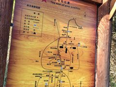 -渭南桃花源民俗文化园