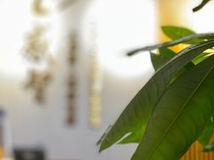 -感智盲人按摩·艾灸·肩颈SPA(岗厦店)
