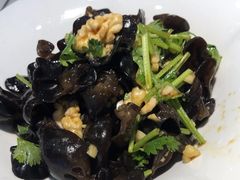 -洞庭家宴·头牌甲鱼(广渠门店)