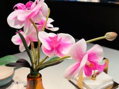 -大鸭梨烤鸭(望京店)