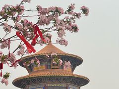 -大悲禅寺