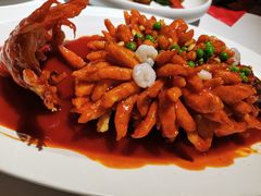 松鼠桂鱼-玫瑰厅上海菜(兴国路店)