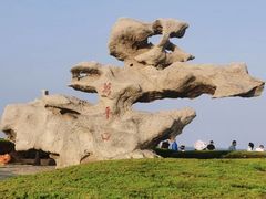 -木柴豆腐·活海鲜·鲁菜(岚山路店)