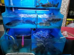 -韩妹鱼庄·泸定老字号(泸定店)