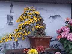 -北海公园