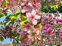 -静安雕塑公园