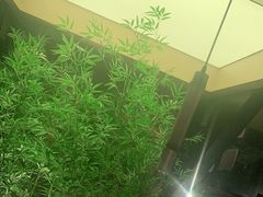 -初蓉丨遇见新川菜(亲贤街荣耀店)