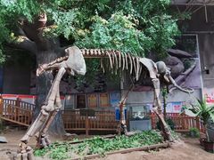 -中国第四纪冰川遗迹陈列馆
